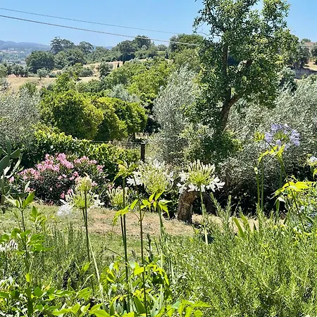 Luxury Boutique Vista Do Vale