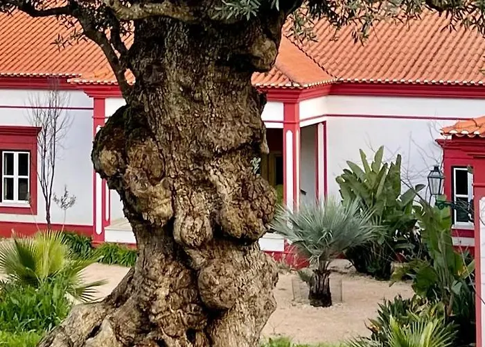 Luxury Boutique Vista Do Vale 4*