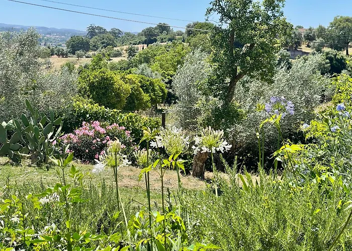 Luxury Boutique Vista Do Vale